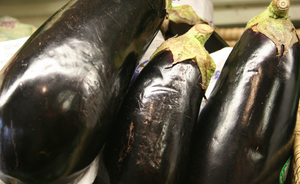 Eggplant 